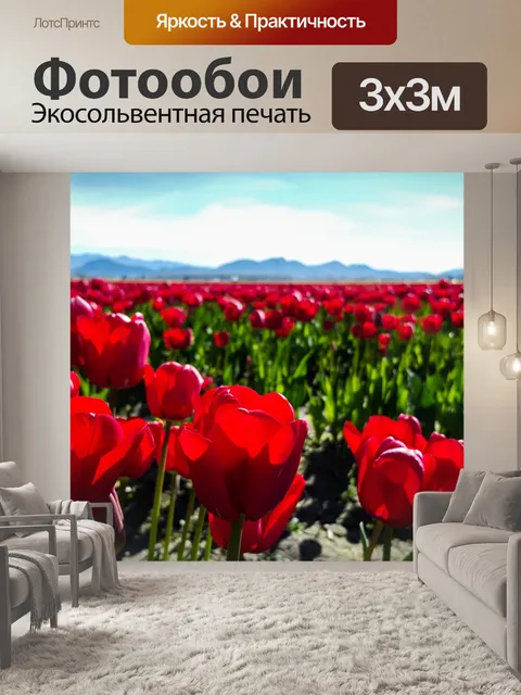 Фотообои Тюльпаны