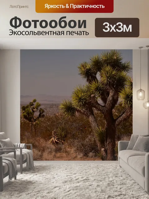 Фотообои Пейзаж Десерт Растение