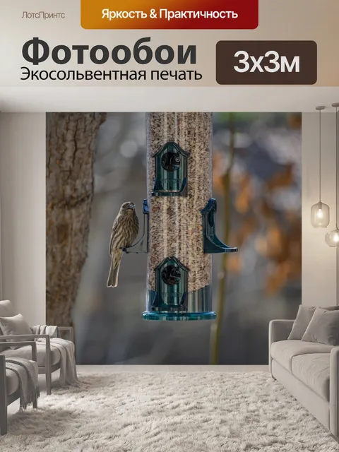 Фотообои Кормление щегол