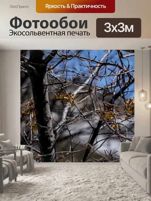 Фотообои осенние ветки