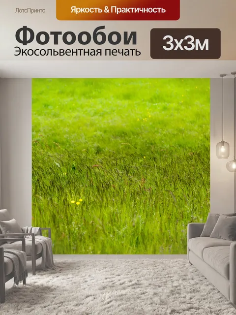 Фотообои Зеленый луг