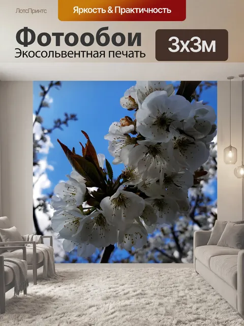 Фотообои Весна