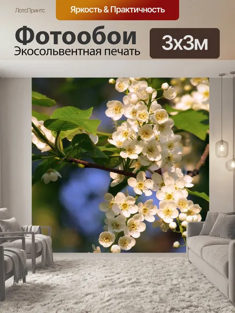 Фотообои Белые цветки