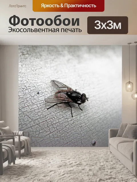 Фотообои Fly