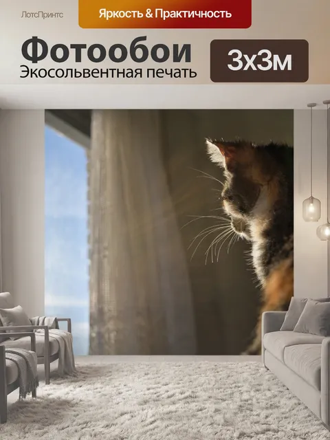 Фотообои Кот в окне