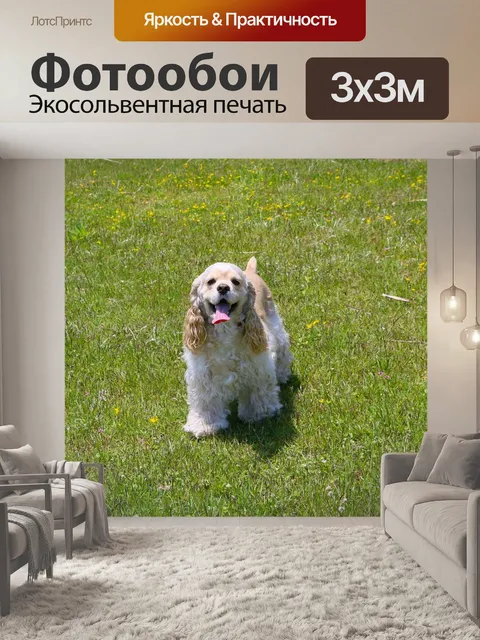 Фотообои Домашние питомцы