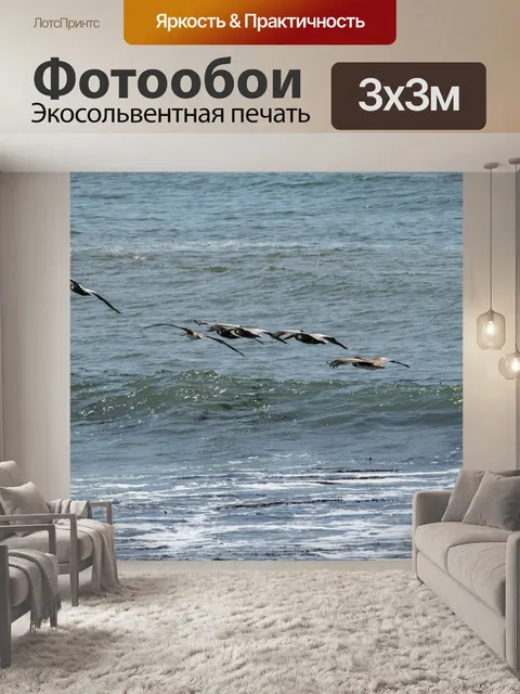 Фотообои Пеликан