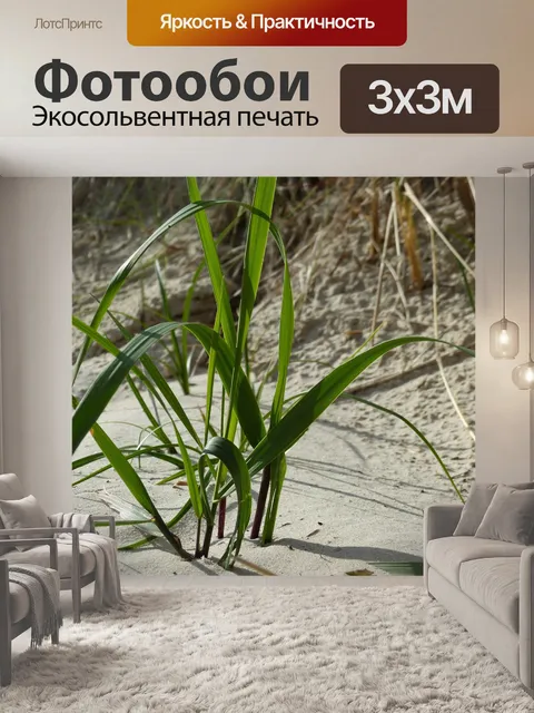 Фотообои Пляж