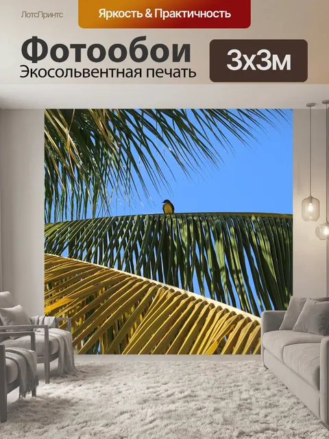 Фотообои Птица