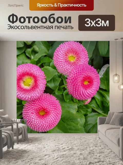 Фотообои Детали цветка