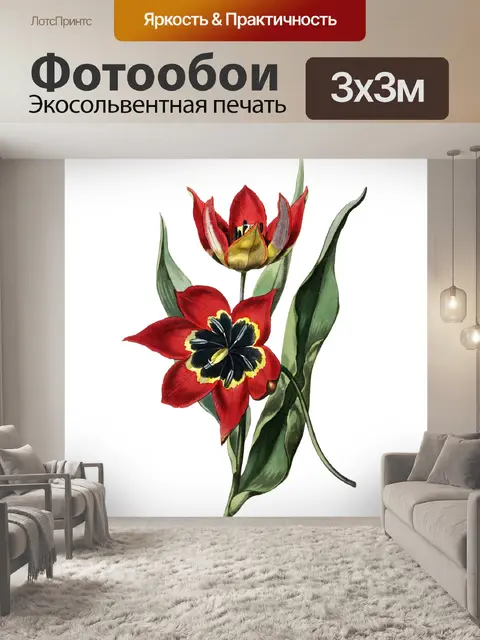 Фотообои Винтажные иллюстрации цветок тюльпана