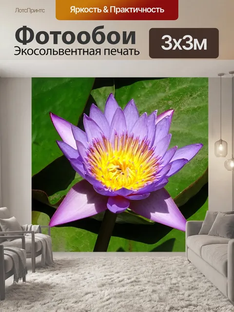Фотообои Лили