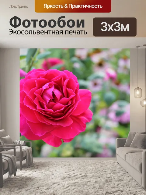 Фотообои Роза