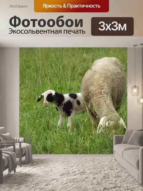 Фотообои Овца с ягненком