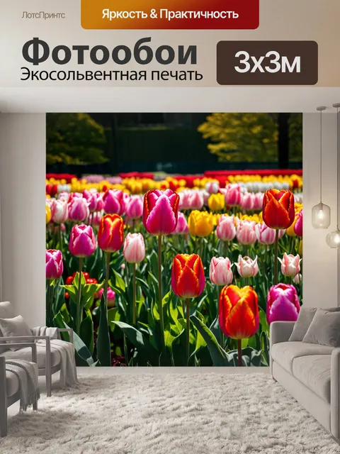 Фотообои природа в стиле мартин джонсон хид: великолепные тюльпаны в саду