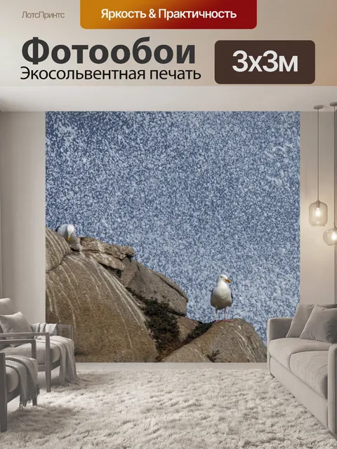 Фотообои чайка и всплеск волны