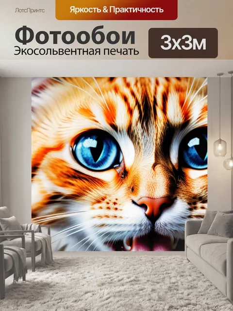 Фотообои с котиком держись смешной