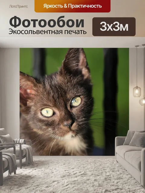 Фотообои Кошка