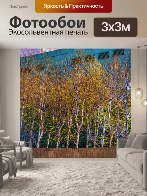 Фотообои Городские Деревья
