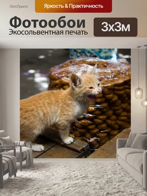 Фотообои Кошка