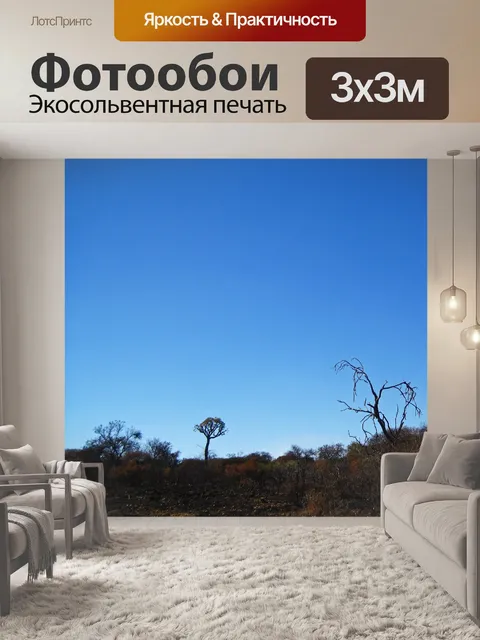 Фотообои остатки деревьев на выжженном пейзаже