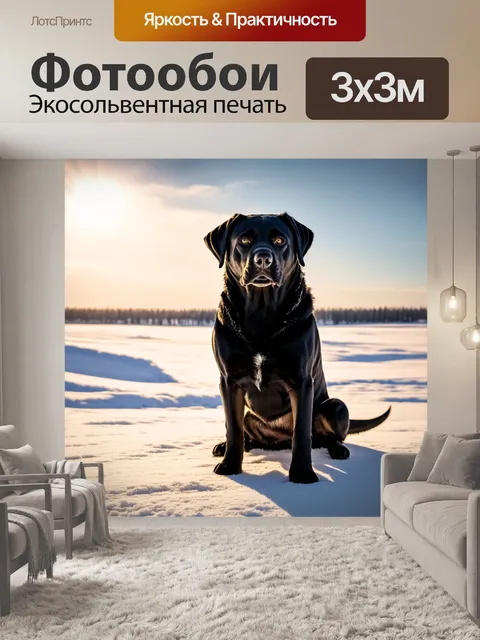 Фотообои величественный лабрадор с блестящей черной шерстью сидит на фоне снежных просторов