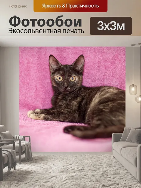 Фотообои Кошка