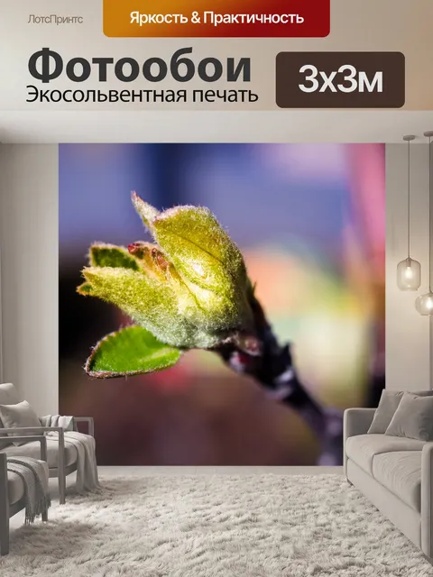 Фотообои Цветочный бутон