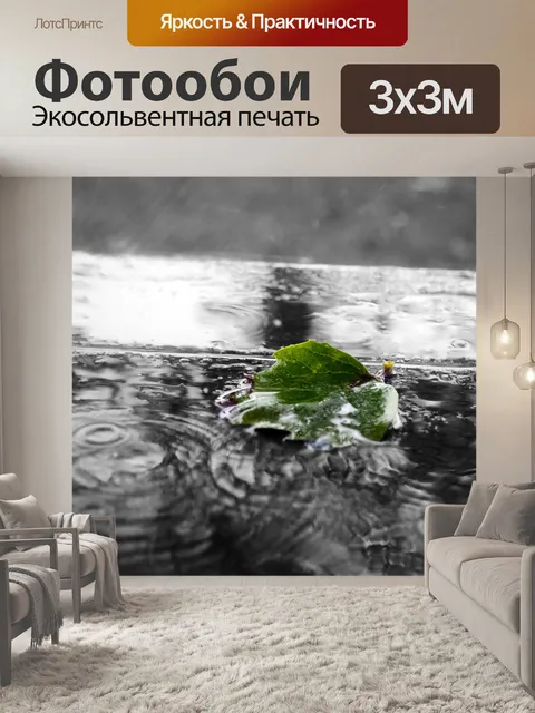Фотообои зеленые листья под дождем