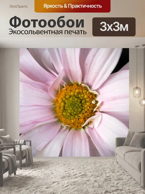 Фотообои розовый цветок