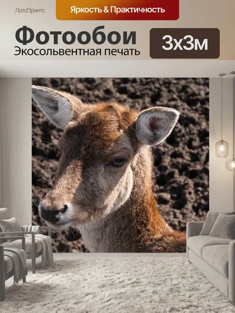 Фотообои Олень