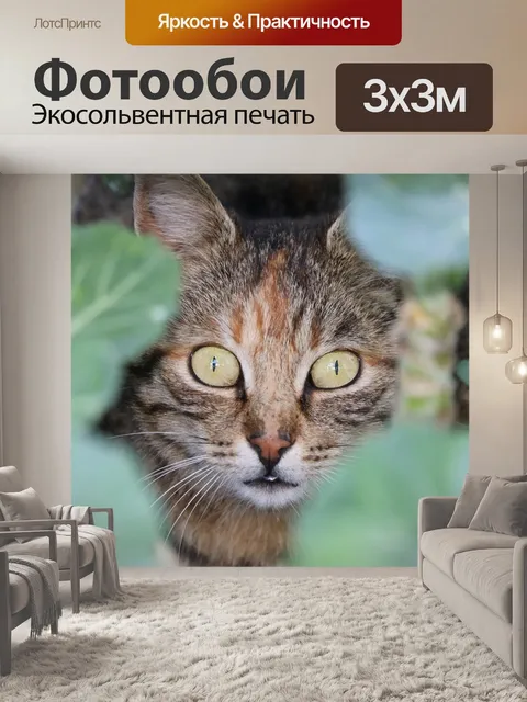 Фотообои Кошка