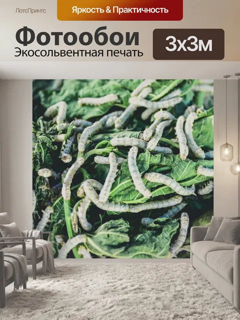 Фотообои Шелкопряд ест листья шелковицы