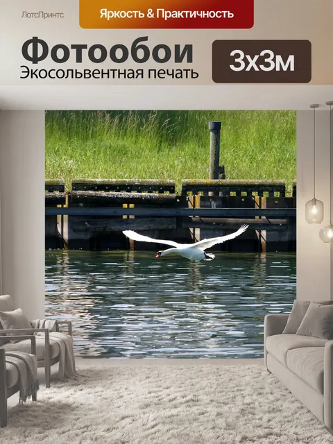 Фотообои Лебедь