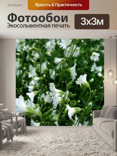 Фотообои Белые цветки