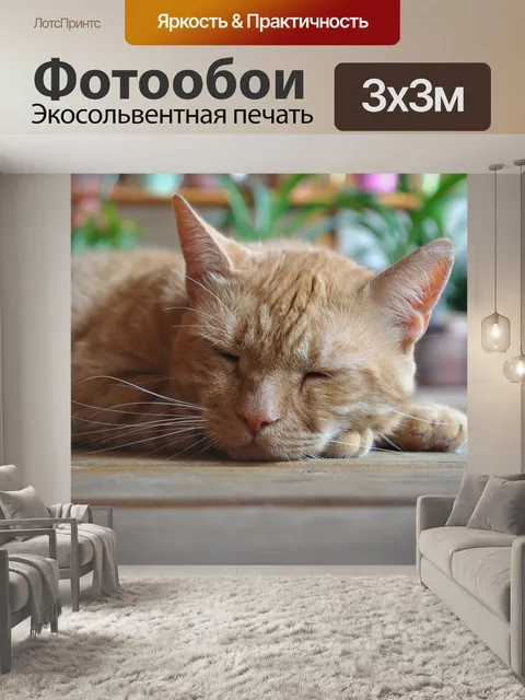 Фотообои Кошка