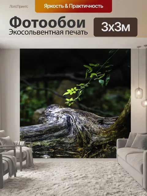 Фотообои Дерево