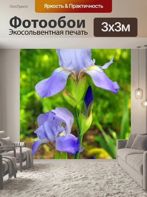Фотообои Лавандовый ирис