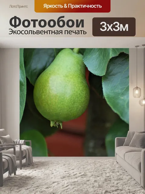 Фотообои Грин
