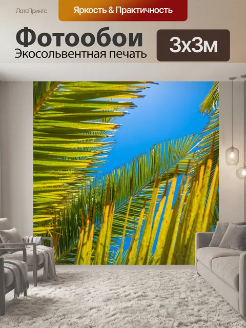 Фотообои Пальмовых листьев деревьев