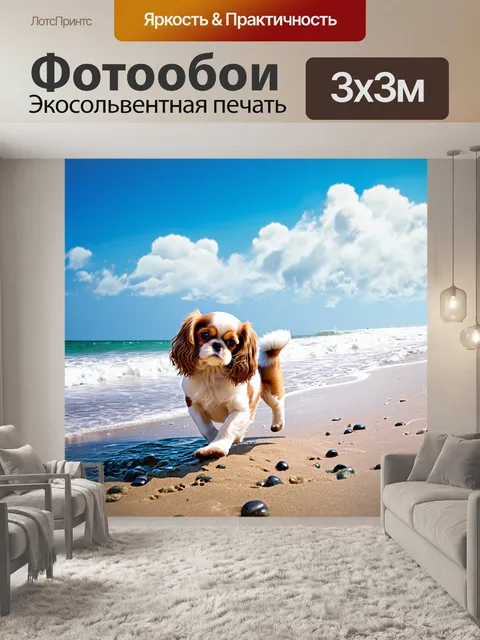 Фотообои сцена на побережье, где кавалер кинг чарльз спаниель, играющий в песке, пиная маленькие камешки