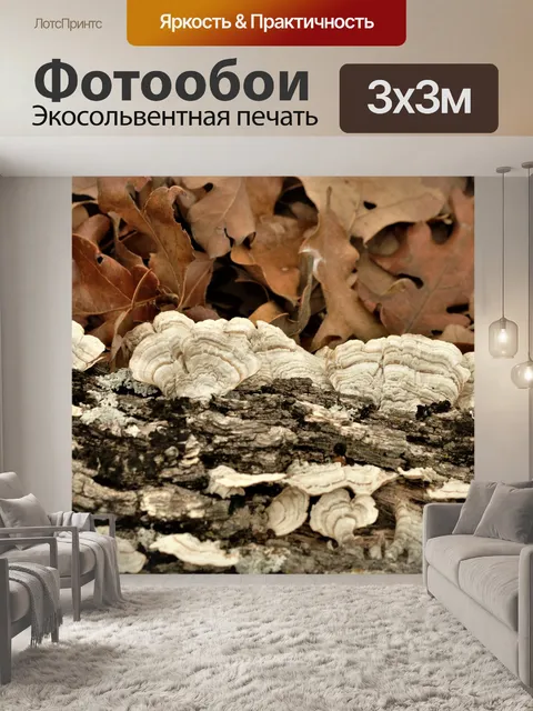 Фотообои Белый индюшатый грибок на бревне