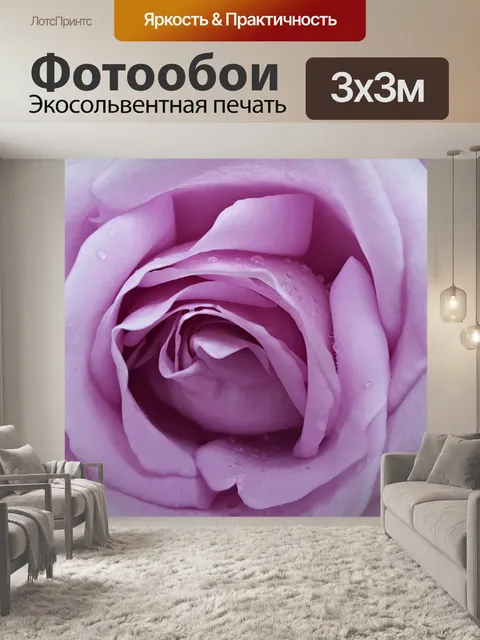 Фотообои Роза