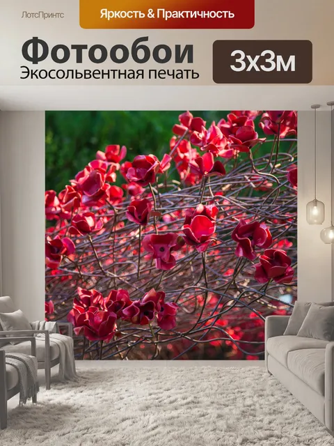 Фотообои Почтить память жертв, красные маки