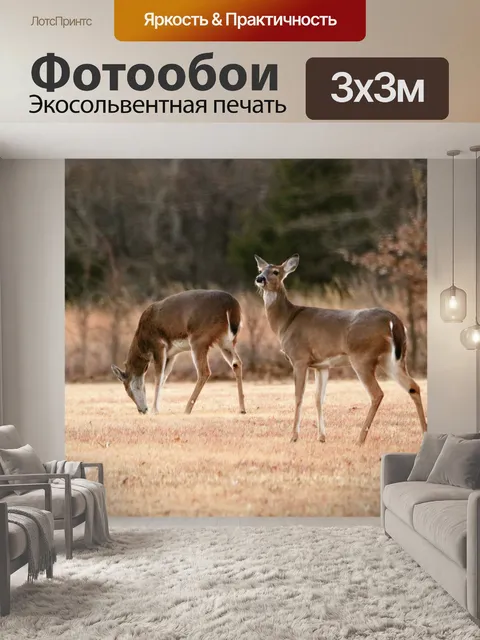 Фотообои Два белых хвоста в зимой