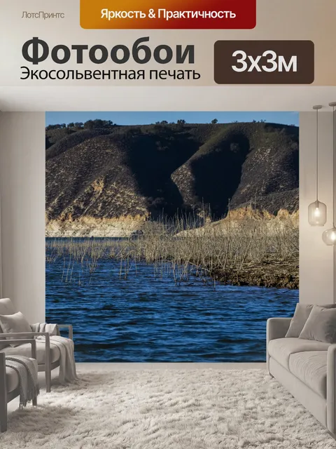 Фотообои болотный