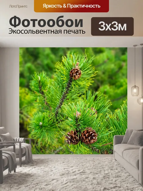Фотообои сосновые ветки и шишки