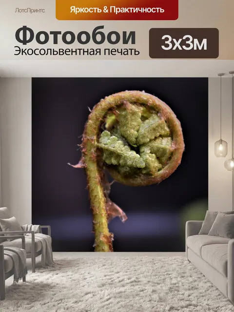 Фотообои Папоротник