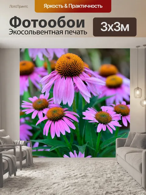 Фотообои Конус Цветок