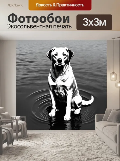 Фотообои изображение лабрадора, сидящего на берегу озера, отражающего черно-белые волны на поверхности воды